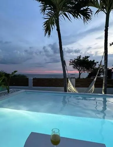 Pawikan Seaview 몰볼